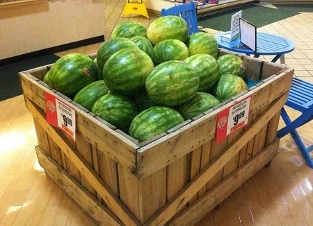 البطيخ