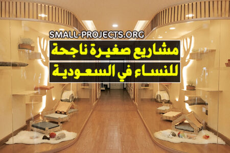 مشاريع صغيرة ناجحة في السعودية للنساء