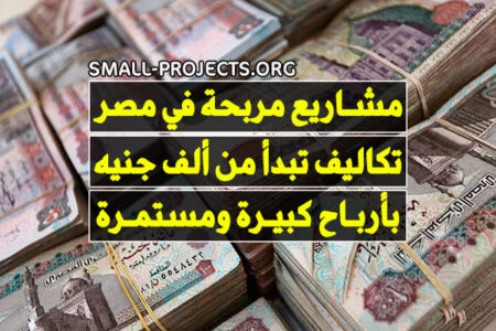 مشاريع صغيرة مربحة في مصر